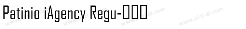 Patinio iAgency Regu字体转换